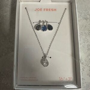 Joe Fresh Silver Necklace and Earring Set